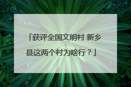获评全国文明村 新乡县这两个村为啥行？