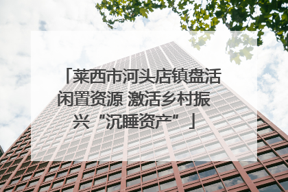 莱西市河头店镇盘活闲置资源 激活乡村振兴“沉睡资产”