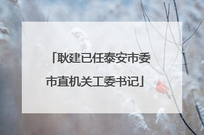 耿建已任泰安市委市直机关工委书记