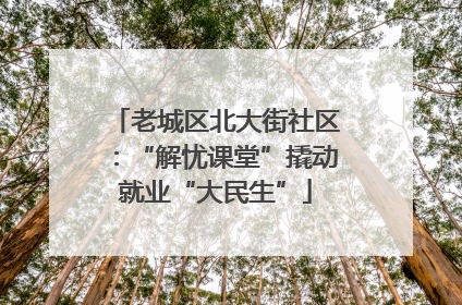 老城区北大街社区：“解忧课堂”撬动就业“大民生”