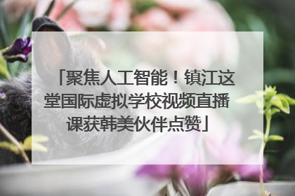 聚焦人工智能！镇江这堂国际虚拟学校视频直播课获韩美伙伴点赞