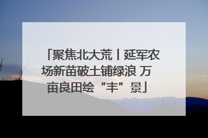 聚焦北大荒丨延军农场新苗破土铺绿浪 万亩良田绘“丰”景