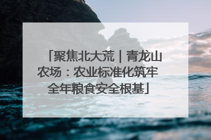 聚焦北大荒｜青龙山农场：农业标准化筑牢全年粮食安全根基