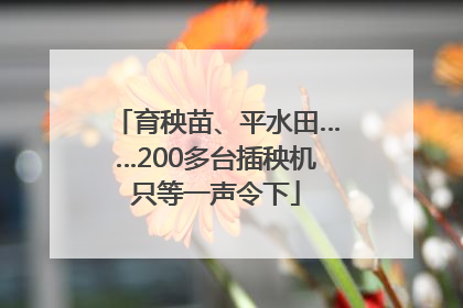 育秧苗、平水田……200多台插秧机只等一声令下