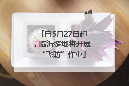 自5月27日起，临沂多地将开展“飞防”作业