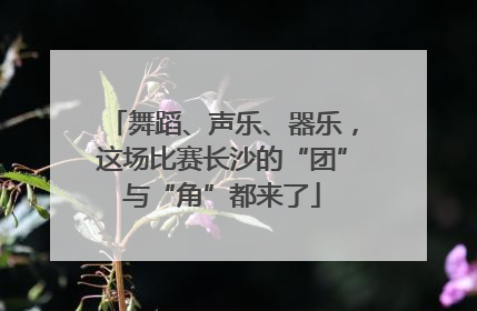 舞蹈、声乐、器乐，这场比赛长沙的“团”与“角”都来了