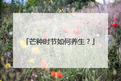 芒种时节如何养生？