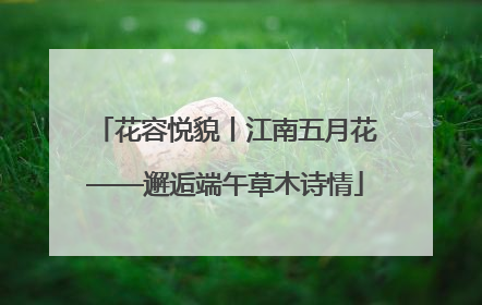 花容悦貌丨江南五月花——邂逅端午草木诗情