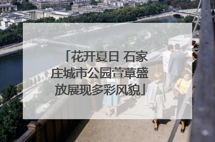 花开夏日 石家庄城市公园萱草盛放展现多彩风貌