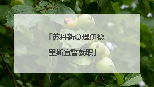 苏丹新总理伊德里斯宣誓就职