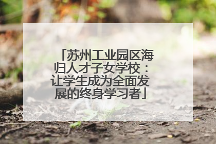 苏州工业园区海归人才子女学校：让学生成为全面发展的终身学习者