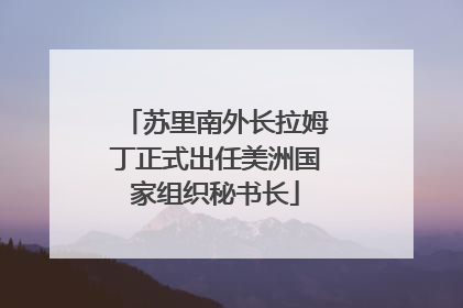 苏里南外长拉姆丁正式出任美洲国家组织秘书长
