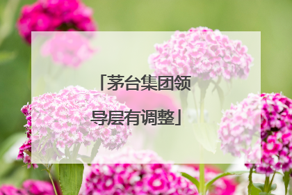 茅台集团领导层有调整