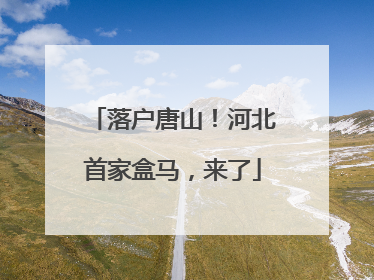 落户唐山！河北首家盒马，来了