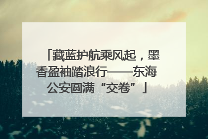 藏蓝护航乘风起，墨香盈袖踏浪行——东海公安圆满“交卷”