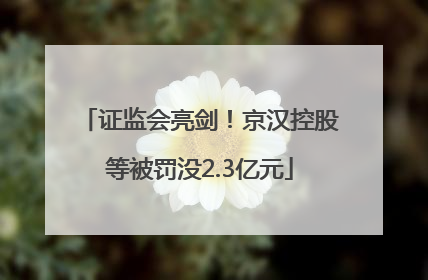 证监会亮剑！京汉控股等被罚没2.3亿元