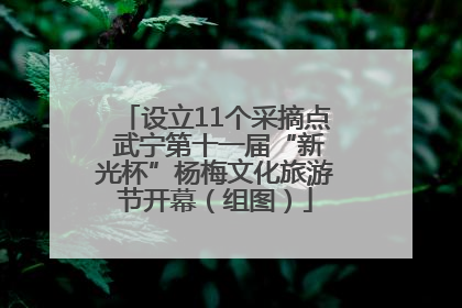 设立11个采摘点 武宁第十一届“新光杯”杨梅文化旅游节开幕（组图）