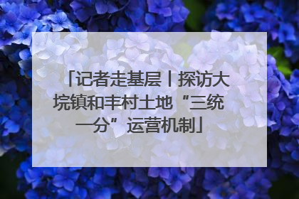 记者走基层丨探访大垸镇和丰村土地“三统一分”运营机制