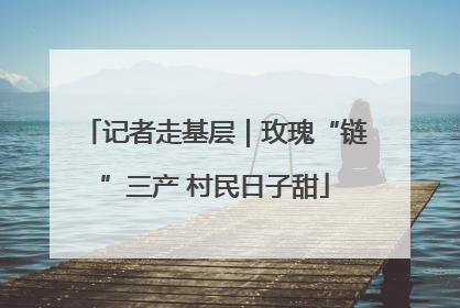 记者走基层｜玫瑰“链”三产 村民日子甜