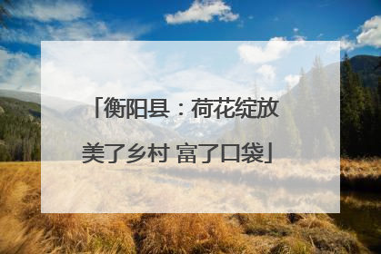衡阳县：荷花绽放 美了乡村 富了口袋