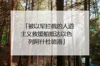被以军拦截的人道主义救援船抵达以色列阿什杜德港