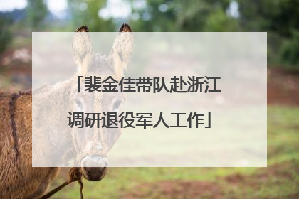 裴金佳带队赴浙江调研退役军人工作