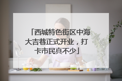 西城特色街区中海大吉巷正式开业，打卡市民真不少