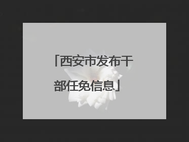 西安市发布干部任免信息