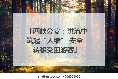 西峡公安：洪流中筑起“人墙” 安全转移受困游客