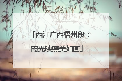 西江广西梧州段：霞光映照美如画