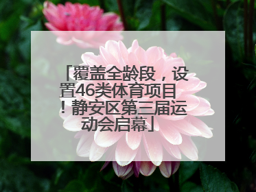 覆盖全龄段，设置46类体育项目！静安区第三届运动会启幕
