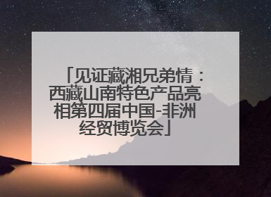 见证藏湘兄弟情：西藏山南特色产品亮相第四届中国-非洲经贸博览会