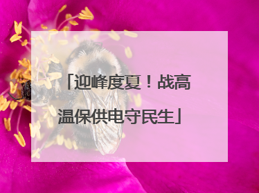 迎峰度夏！战高温保供电守民生