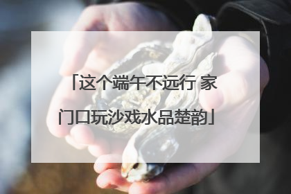 这个端午不远行 家门口玩沙戏水品楚韵