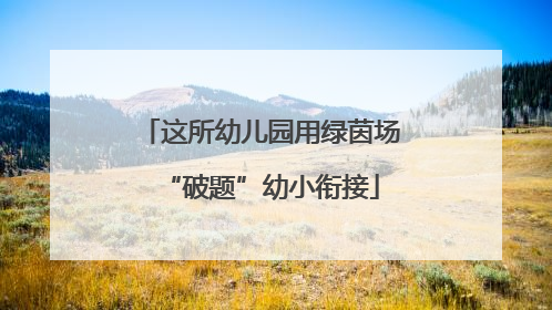 这所幼儿园用绿茵场“破题”幼小衔接