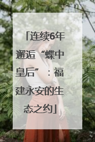 连续6年邂逅“蝶中皇后”：福建永安的生态之约
