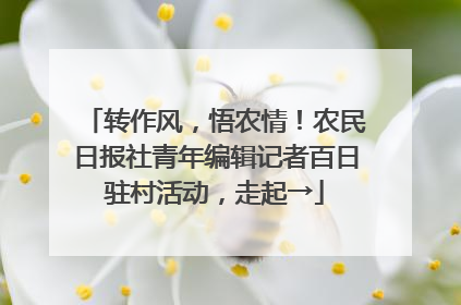 转作风，悟农情！农民日报社青年编辑记者百日驻村活动，走起→