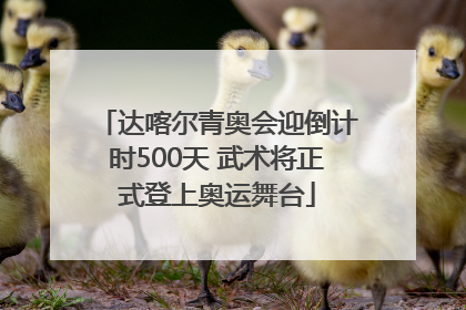 达喀尔青奥会迎倒计时500天 武术将正式登上奥运舞台