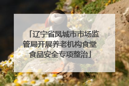 辽宁省凤城市市场监管局开展养老机构食堂食品安全专项整治