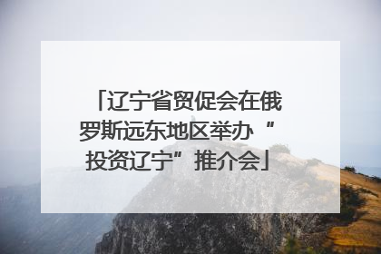 辽宁省贸促会在俄罗斯远东地区举办“投资辽宁”推介会