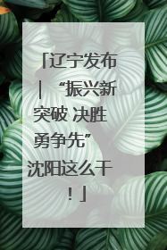 辽宁发布｜“振兴新突破 决胜勇争先” 沈阳这么干！
