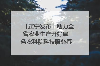 辽宁发布｜助力全省农业生产开好局 省农科院科技服务春耕备耕成效显著