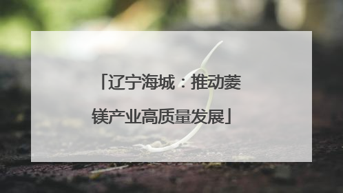 辽宁海城：推动菱镁产业高质量发展