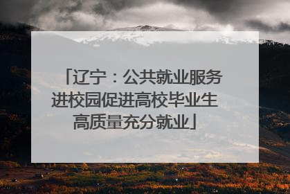 辽宁：公共就业服务进校园促进高校毕业生高质量充分就业
