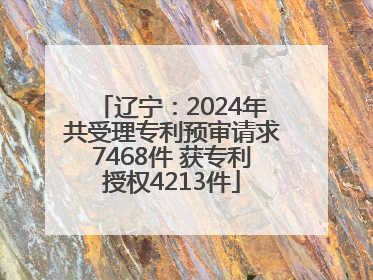 辽宁：2024年共受理专利预审请求7468件 获专利授权4213件