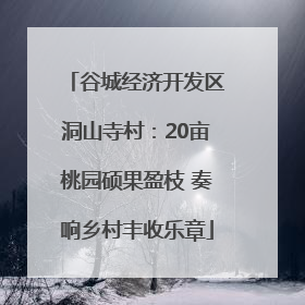 谷城经济开发区洞山寺村：20亩桃园硕果盈枝 奏响乡村丰收乐章