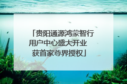 贵阳通源鸿蒙智行用户中心盛大开业 获首家尊界授权