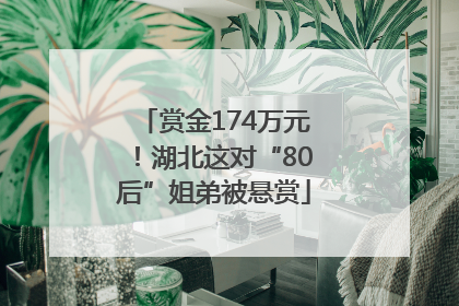 赏金174万元！湖北这对“80后”姐弟被悬赏