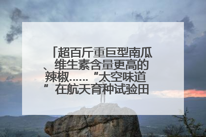超百斤重巨型南瓜、维生素含量更高的辣椒……“太空味道”在航天育种试验田里拔节生长