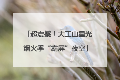 超震撼！大王山星光烟火季“霸屏”夜空